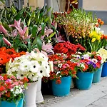 酒店 巴勒莫中心美居酒店
