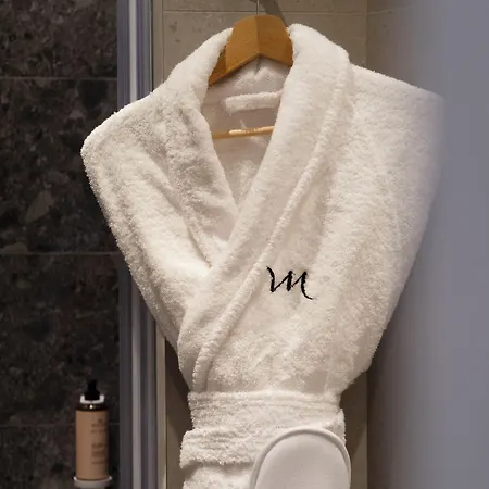 Отель Mercure Centro 4*