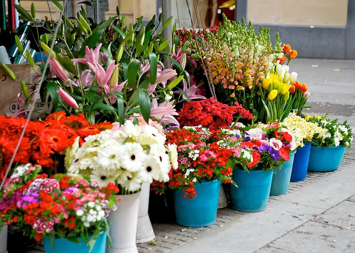 Отель Mercure Centro